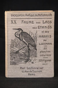 La faune des lacs, des étangs et des marais.