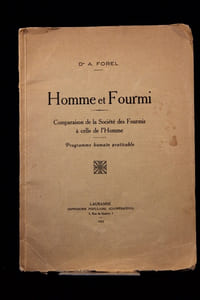 Homme et Fourmi. Comparaison de la Société des Fourmis à celle de l’Homme. Programme humain praticable.