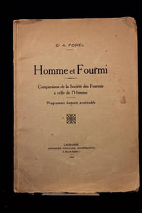 Homme et Fourmi. Comparaison de la Société des Fourmis à celle de l’Homme. Programme humain praticable.