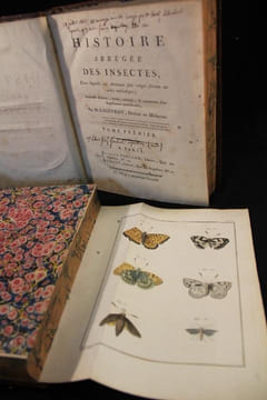 Histoire abrégée des insectes, dans laquelle ces animaux sont rangés suivant un ordre méthodique.. GEOFFROY Etienne-Louis: