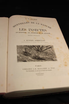 Merveilles de la nature. Les insectes. Les myriopodes, les arachnides et les crustacés.. BREHM A. E.; HERCULAIS J. Kunckel d’: