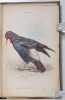 The naturalist’s library. Ornithology. Vol. V. Gallinaceous birds. Part. III. Pigeons.. SELBY Prideaux John; JARDINE William (dir.):