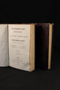 Ornithologie européenne ou Catalogue descriptif, analytique et raisonné des oiseaux observés en Europe.