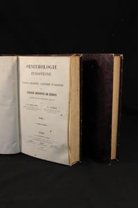 Ornithologie européenne ou Catalogue descriptif, analytique et raisonné des oiseaux observés en Europe.