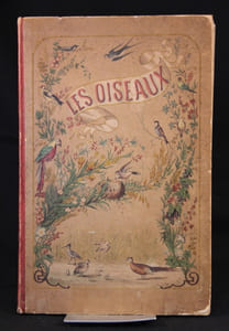 Les oiseaux. Description des principales espèces des oiseaux d’Europe.