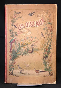 Les oiseaux. Description des principales espèces des oiseaux d’Europe.