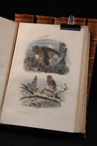 Oeuvres complètes de Buffon. Mises en ordre et précédées d’une notice historique. (... ) Suivies de la Classification comparée d’après MM. Cuvier, Lesson, etc. , etc.