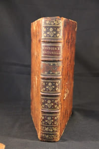Histoire naturelle, générale et particulière, avec la description du Cabinet du Roi. Tome douzième.