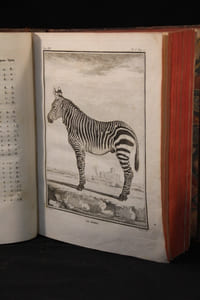 Histoire naturelle, générale et particulière, avec la description du Cabinet du Roi. Tome douzième.