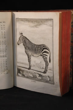 Histoire naturelle, générale et particulière, avec la description du Cabinet du Roi. Tome douzième.. BUFFON Georges-Louis Leclerc; DAUBENTON Louis ...