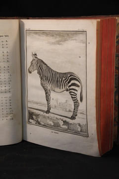 Histoire naturelle, générale et particulière, avec la description du Cabinet du Roi. Tome douzième.. BUFFON Georges-Louis Leclerc; DAUBENTON Louis ...