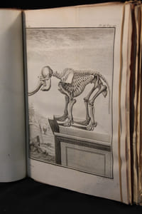 Histoire naturelle, générale et particulière, avec la description du Cabinet du Roi. Tome Onzième.