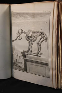 Histoire naturelle, générale et particulière, avec la description du Cabinet du Roi. Tome Onzième.