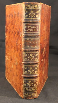 Histoire naturelle, générale et particulière, avec la description du Cabinet du Roi. Tome Treizième.. BUFFON Georges-Louis Leclerc; DAUBENTON Louis ...