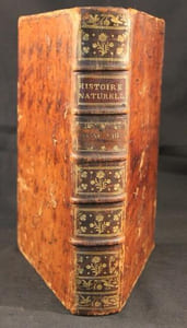 Histoire naturelle, générale et particulière, avec la description du Cabinet du Roi. Tome Treizième.