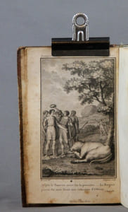 Voyages d’Antenor en Grèce et en Asie, avec des notions sur l’Egypte; Manuscrit grec trouvé à Herculanum.
