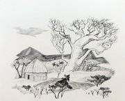 Bête de la Terre et dans le ciel. par DEMAISON André: - Image 2