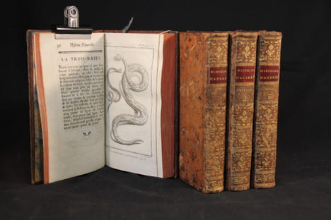 Oeuvres complètes. Histoire naturelle générale et particulière - Histoire naturelle des oiseaux - Histoire des animaux quadrupèdes - Histoire ...