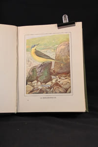 Les oiseaux dans la nature. 50 monographies d'oiseaux utiles.
