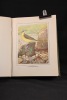 Les oiseaux dans la nature. 50 monographies d'oiseaux utiles.. RAMBERT Eugène - ROBERT L. Paul:
