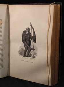Le Buffon de la jeunesse. Zoologie - Botanique - Minéralogie. Revu, corrigé et augmenté par M. Chenu.