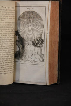 Curiositez de la nature et de l'art sur la végétation; ou l'agriculture et le jardinage dans leur perfection ou l'on voit le secret de la ...