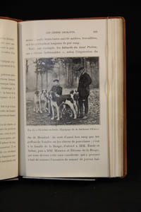 Nos chiens. Races, dressage, élevage, hygiènes, maladies.
