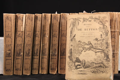 Oeuvres complètes de Buffon avec les suppléments, augmentées de la classification de G. Cuvier [suivi de] Oeuvres du comte de Lacépède contenant l'histoire naturelle des quadrupèdes ovipares, des serpents, des poissons et des cétacés.