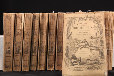 Oeuvres complètes de Buffon avec les suppléments, augmentées de la classification de G. Cuvier [suivi de] Oeuvres du comte de Lacépède contenant ...