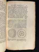 De situ orbis libri III. Cum notis integris Hermolai Barbari, Petri Joannis Olivarii, Fredenandi Nonni Pintiani, Petri Ciacconii, Andrea Schotti, Isaci Vossi, & Jacobi Gronovii. Accedunt Julii Honorii Oratoris excerpta cosmographiae. Cosmographia falso aethicum auctorem præferens cum Varis Lectionibus ex MS. Ravennatis anonymi geographia ex MS. Leideinsi suppleta. curante Abrahamo Gronovio. par Pomponius Mela: - Image 2
