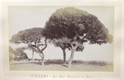 Cannes et ses environs.
