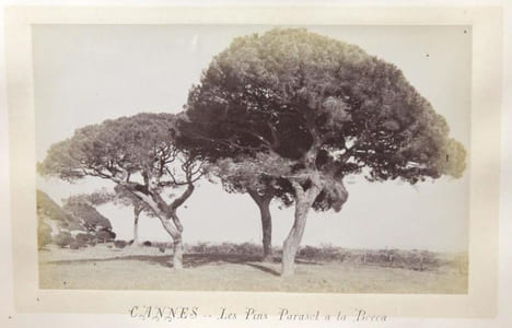 Cannes et ses environs.. Anonyme: