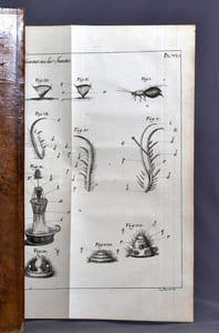 Oeuvres d’histoire naturelle et de philosophie.