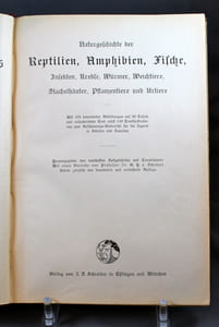 Naturgeschichte der Reptilien, Amphibien, Fische, Insekten, Krebse, Würmer, Weichtiere, Stachelhäuter, Pflanzentiere und Urtiere. Mit 479 kolorierten Abbildungen auf 30 Tafeln und erläuterndem Texte nebst 149 Textillustrationen zum Anschauungs-Unterricht für die Jugend in Schulen und Familien. Herausgegeben vom namhaften Fachgelehrten und Tierzeichnern. Mit einer Vorrede von Professor G. H. v. Schubert. Zehnte gänzlich neu bearbeitete und verbesserte Auflage.