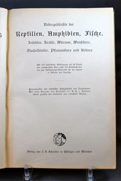 Naturgeschichte der Reptilien, Amphibien, Fische, Insekten, Krebse, Würmer, Weichtiere, Stachelhäuter, Pflanzentiere und Urtiere. Mit 479 kolorierten ...