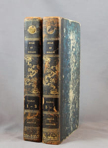 La muse du département ou Dinah et Rosalie. Tomes I à IV.