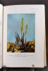The aloes of tropical Africa and Madagascar.. REYNOLDS Gibert Westacott: