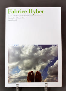 Fabrice Hyber. Des paquets de pieds. De la pointure, en vérité. Au pied levé.