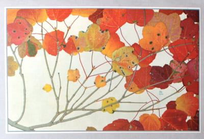 Feuilles d'automne.