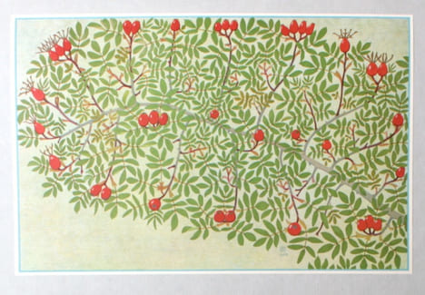 Feuilles d'automne.. ROBERT Philippe; GODET Philippe: