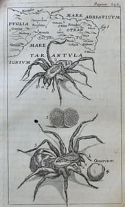 Opera omnia medico-practica, et anatomica. [...] Tractatus de Vegetatione Lapidum Opus desidaretum, nec non De Terraemotu Romano, & Urbim adjacentium Anno 1703.