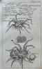 Opera omnia medico-practica, et anatomica. [...] Tractatus de Vegetatione Lapidum Opus desidaretum, nec non De Terraemotu Romano, & Urbim adjacentium ...