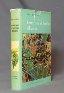 Batraciens et reptiles d'Europe.