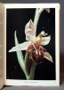 Orchidées d’Europe.. DUPERREX Aloys; DOUGOUD R: