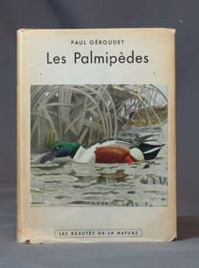 Les palmipèdes.