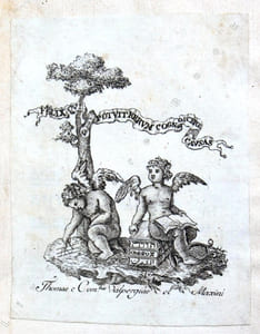 Voyage pittoresque de Paris ; ou Indication de tout ce qu'il y a de plus beau dans cette grande Ville en Peinture, Sculpture, & Architecture. Par M. D. ***. [suivie de] Table alphabétique de toute les rues, cul-de-sacs, passages, quais, ponts, places publiques, de la ville & fauxbourgs de Paris indiquées par leur noms, tant anciens que modernes, avec ceux des quartiers où elles sont situées.