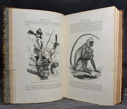 Voyages dans les deux océans Atlantique et Pacifique. 1844 et 1847. Brésil, Etats-Unis, Cap de Bonne-Espérance, Nouvelle-Hollande, Nouvelle-Zélande, ...