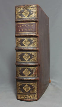 Lucii Apuleii Madaurensis platonici philosophi Opera. Interpretatione et notis illustravit Julianus Floridus J. U. L. Ca. carnot. Jussu ...