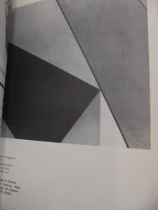 36° Biennale di Venezia. Esposizione internazionale d'arte. 11 giugno 1 ottobre 1972.