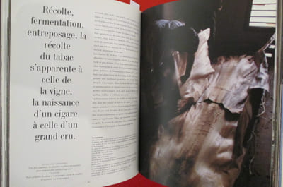 HAVANE CIGARE DE LEGENDE